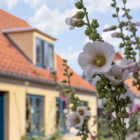 Hébergement de vacances Ae330-aeroskobing-ostergade-8 *